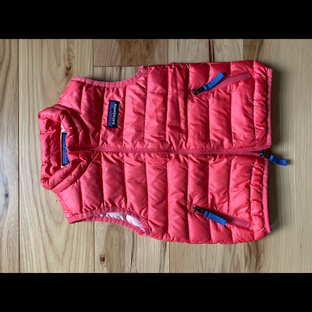 Patagonia Down Vest